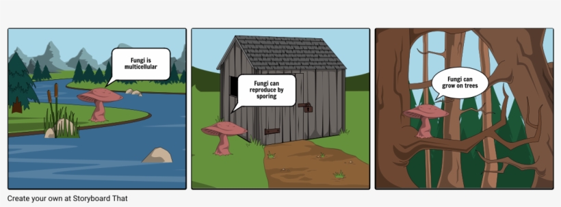 Fungi, transparent png #7471416