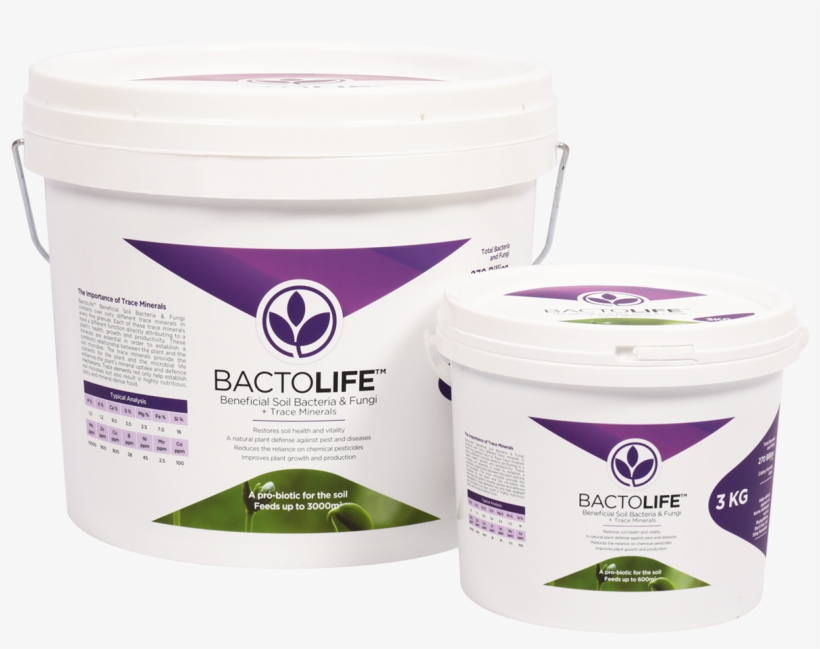 Bactolife™, transparent png #7471769