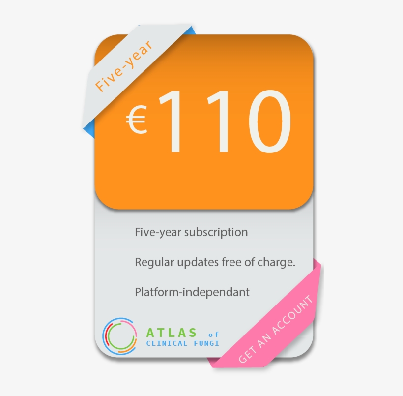 The Website Functions As A Searchable Database On All, transparent png #7471924