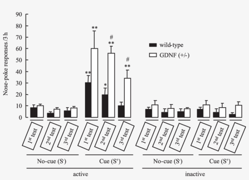 Active And Inactive Nose Poke Responses During Cue, transparent png #7472678
