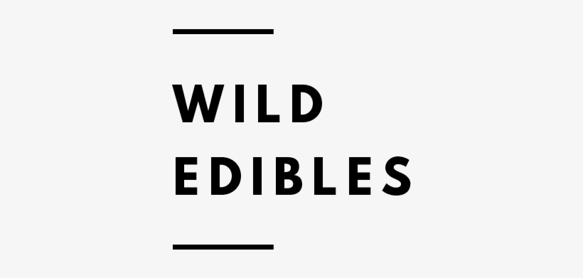 Botanical Folk Wild Food Recipes, transparent png #7474527
