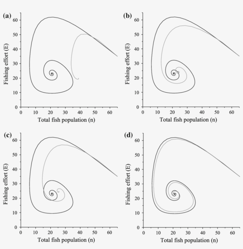 Orbit Of Complete And Aggregated (black) Models In, transparent png #7482685