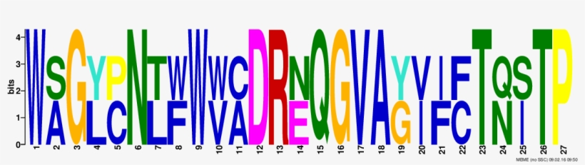 Png Logos Require Convert From Imagemagick, transparent png #7483360