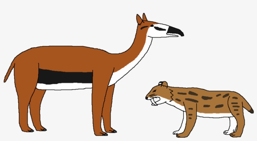 Predator And Prey Of The Grasslands By Wildandnaturefan, transparent png #7485351