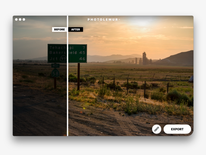 Photolemur - Free Transparent PNG Download - PNGkey
