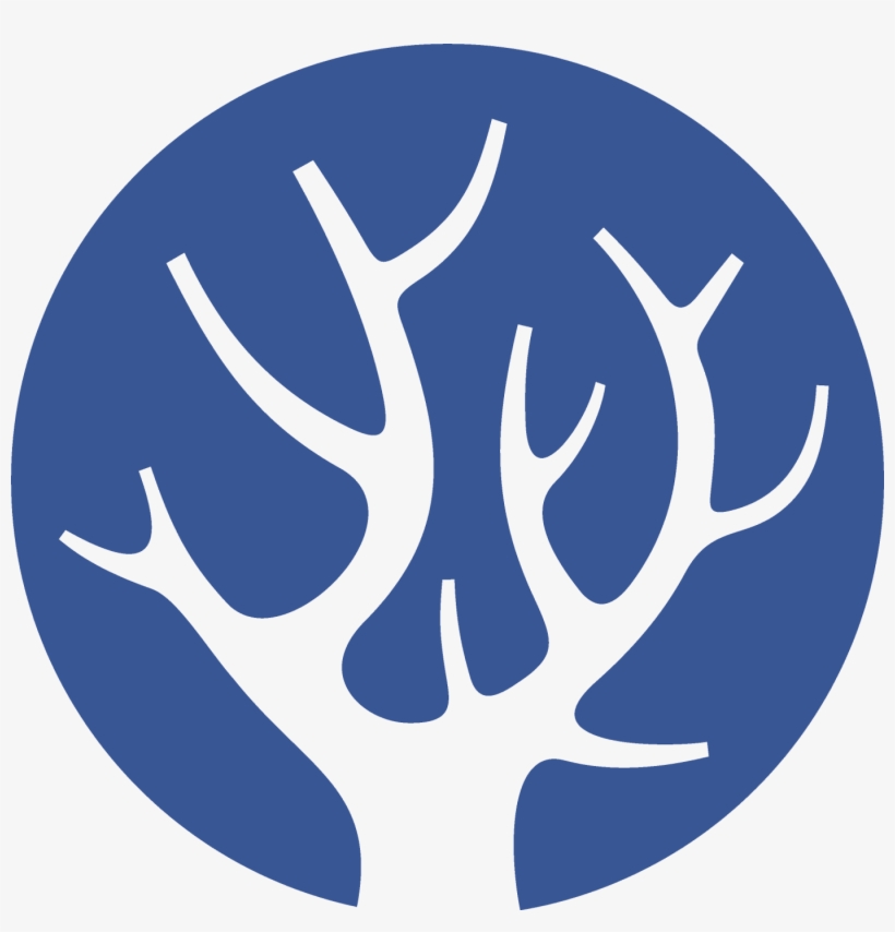 Creative Web Design To Grow Your Business, transparent png #7485950