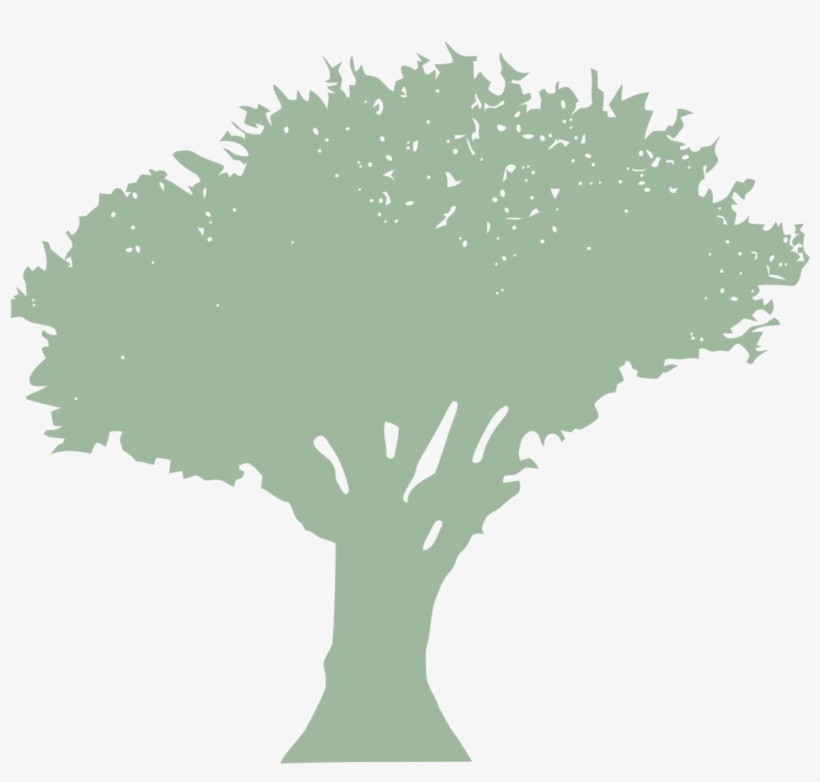 Crown Thin, Lift & Reduce, transparent png #7486652