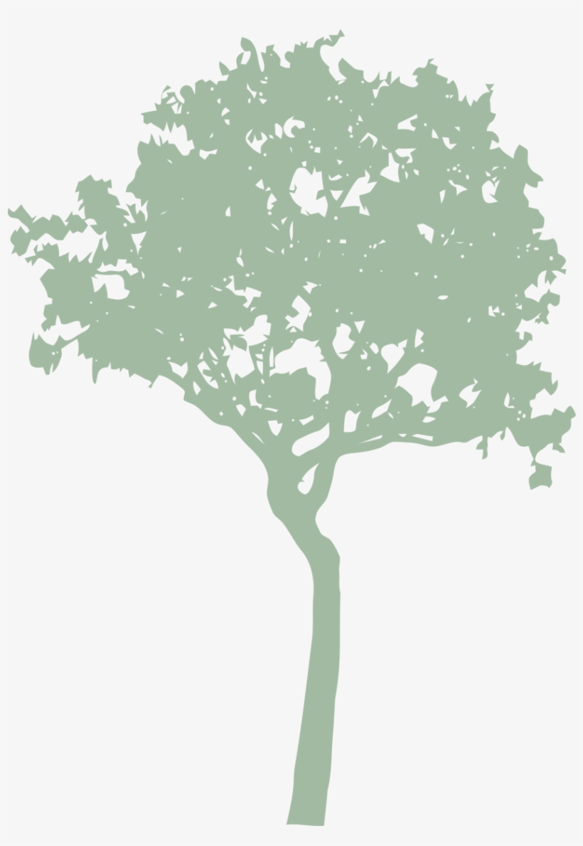 Pollarding, transparent png #7486711