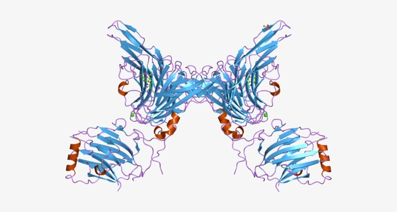 Pdb 2c5d Ebi, transparent png #7488218
