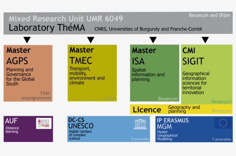 Schema Formation Anglais, transparent png #7488317