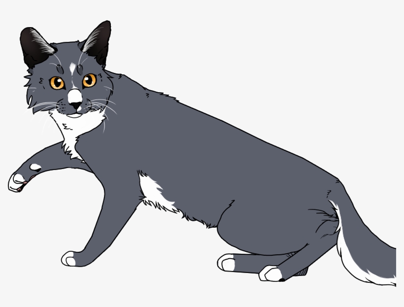 Bluebellpaw - Unknown, transparent png #7489034