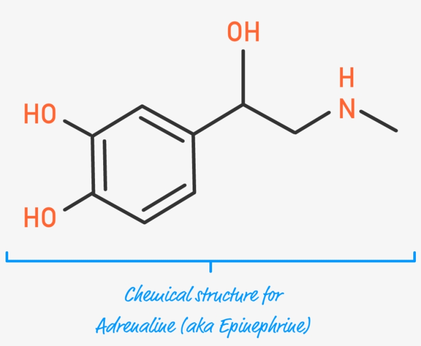 This Is Going To Be A Fun Exercise Where We Build Each, transparent png #7490652