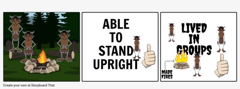 Upright Man For Social Studies, transparent png #7490910