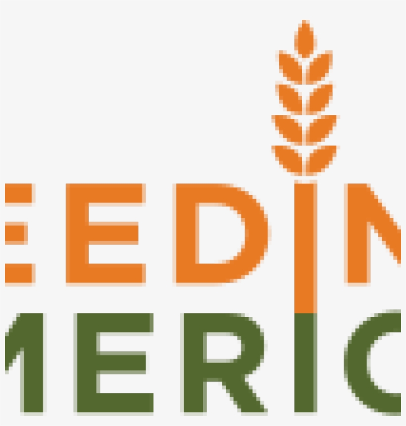 Internet Marketing Agency For Leading Brands, transparent png #7491665