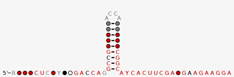 Succ Png, transparent png #7493017