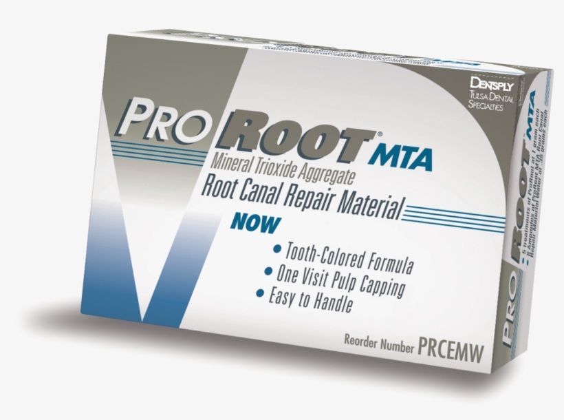 Image For Proroot Mta Root Repair Material White Refill, transparent png #7495811