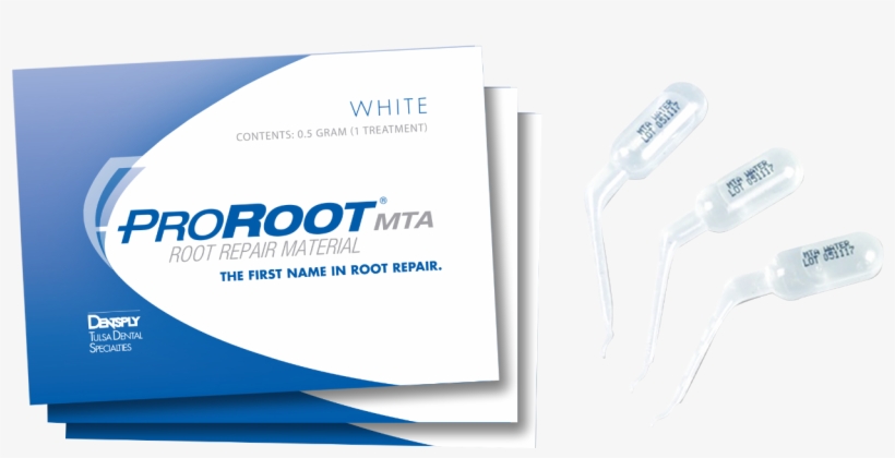 Image For Proroot Mta 4 X, transparent png #7496073