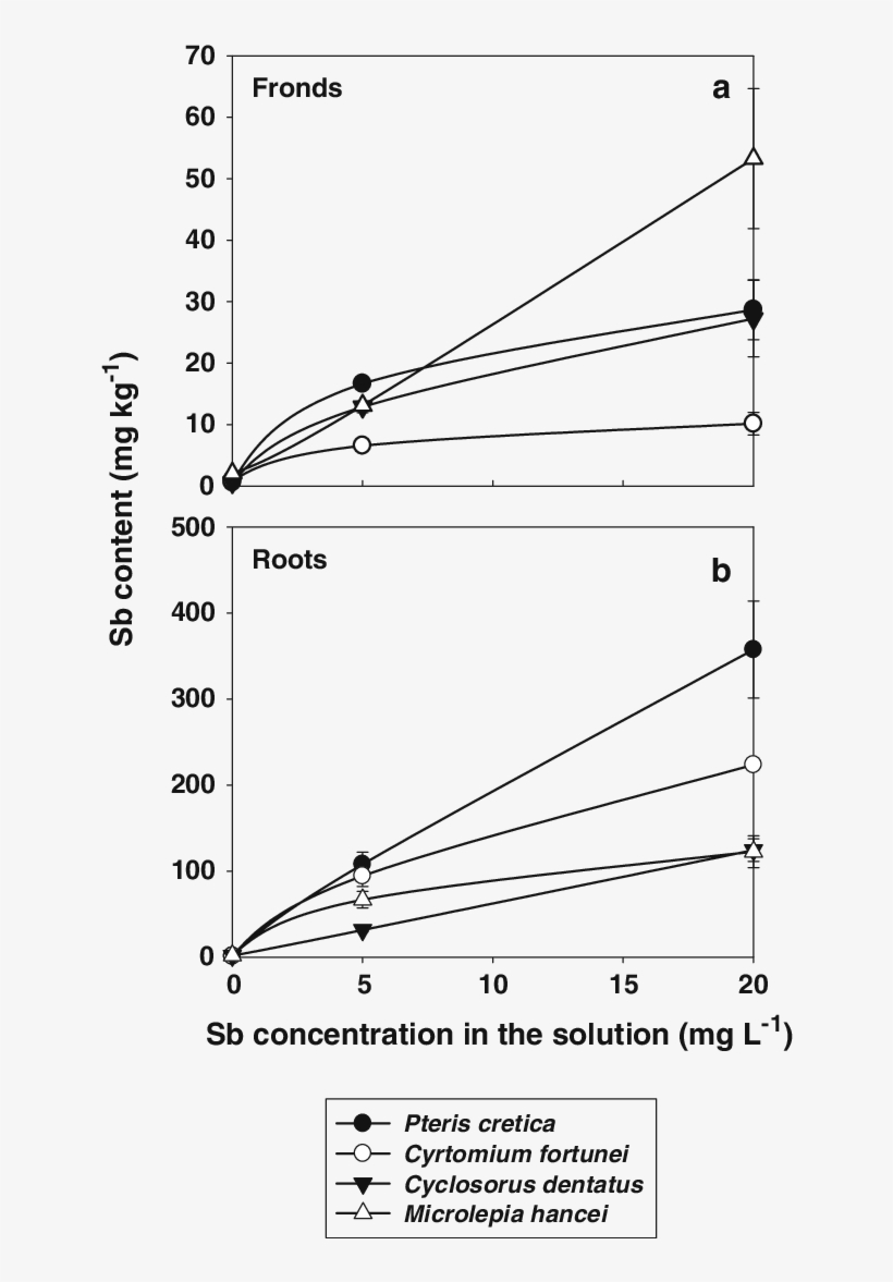 Antimony Accumulation In The Fronds And Roots Of Fern, transparent png #7497551