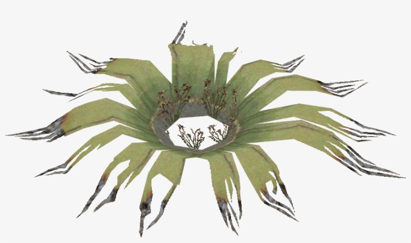 Centipede Png, transparent png #7498595