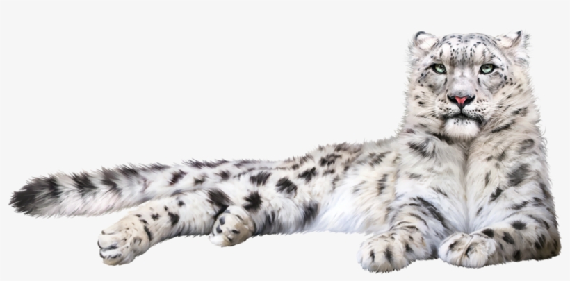 Snow Leopard Png, transparent png #750371