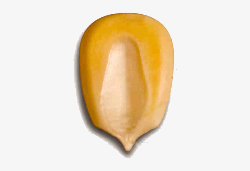 I Can't Say That I Was Initially To Pumped To Watch - Movie Kernels, transparent png #750534