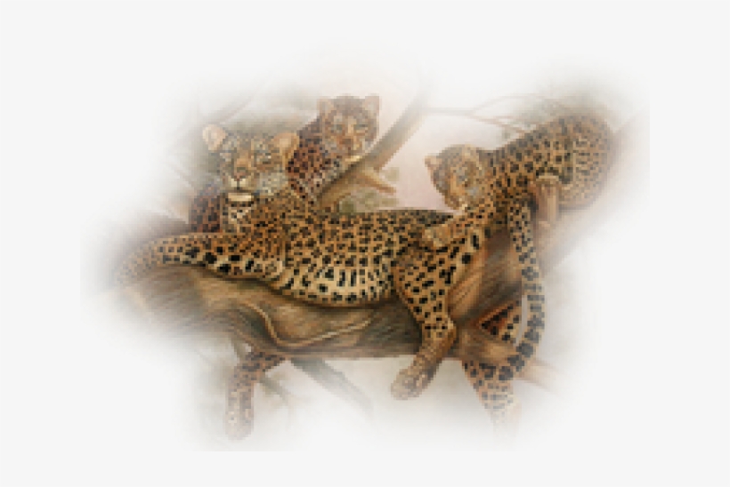 Leopard Png Transparent Images - Leopard, transparent png #750706