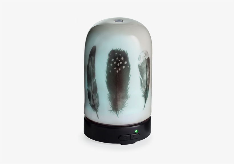 Ultrasonic Diffuser - Feather - Single - Airome Feather Essential Oil Diffuser, transparent png #750753