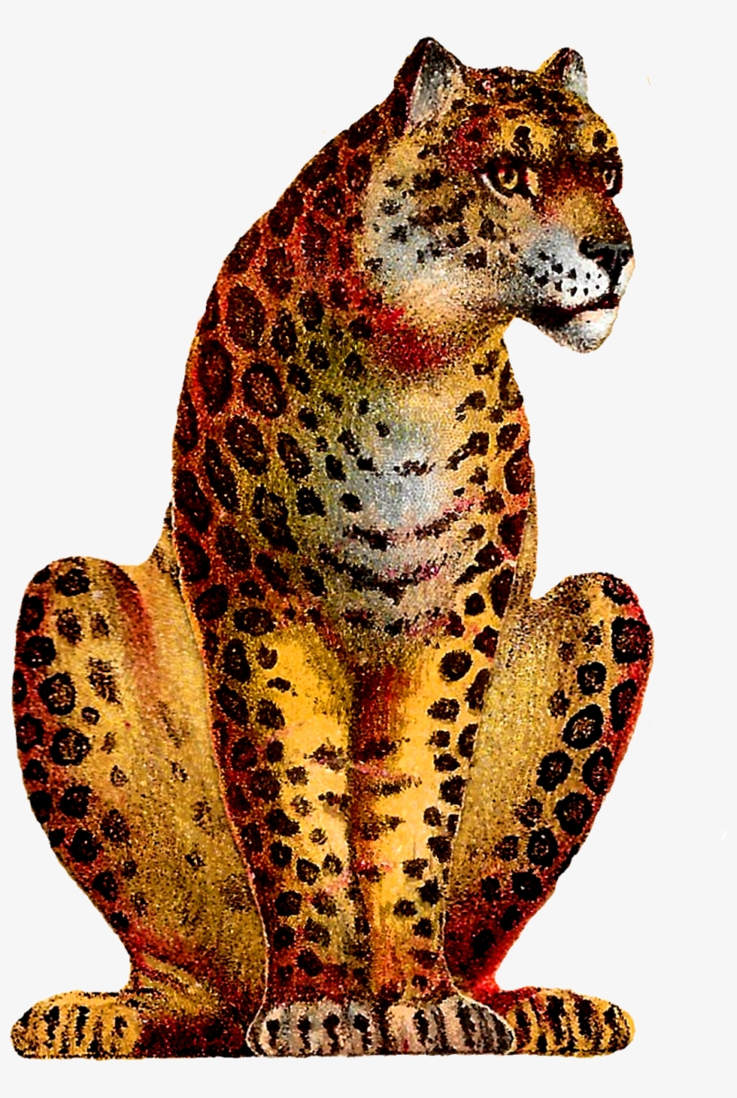 Sitting Leopard Png High-quality Image - Leopard Vintage, transparent png #751060