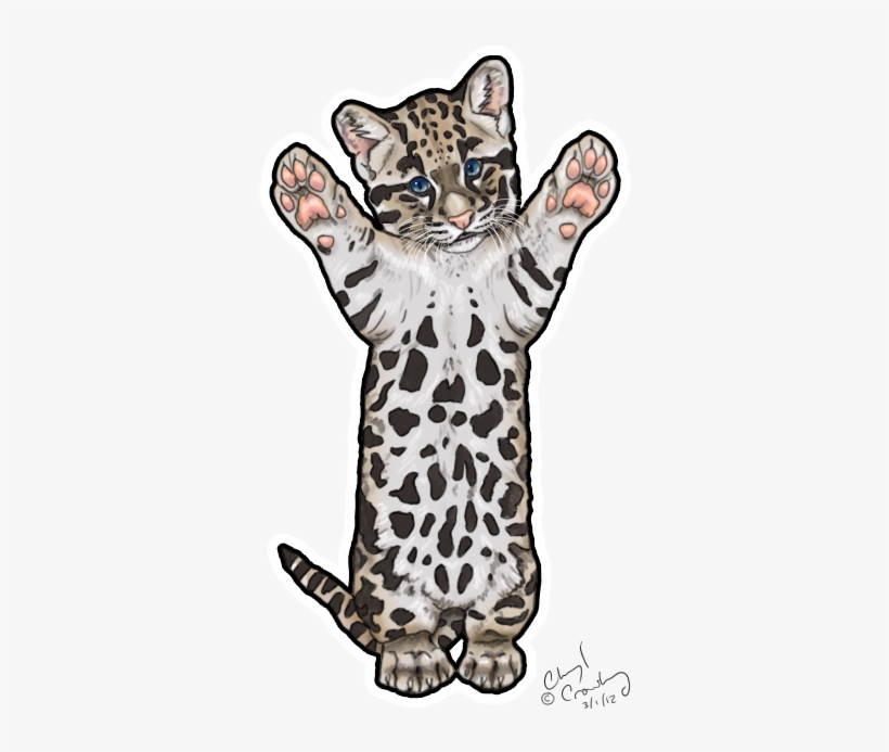 Png Black And White Download Cute Clouded By Silvercrossfox - Snow Leopard, transparent png #751468