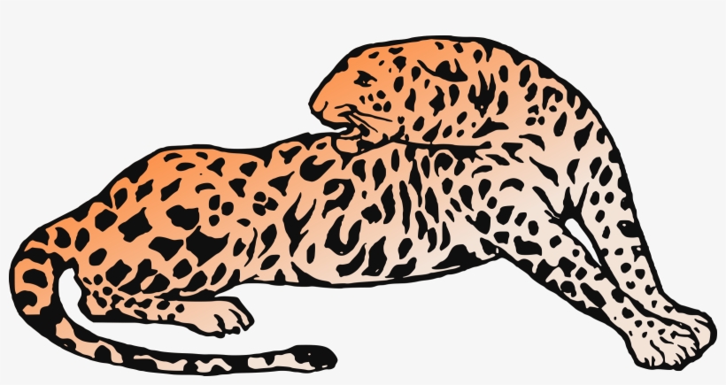 Big Image - Jaguar, transparent png #751625