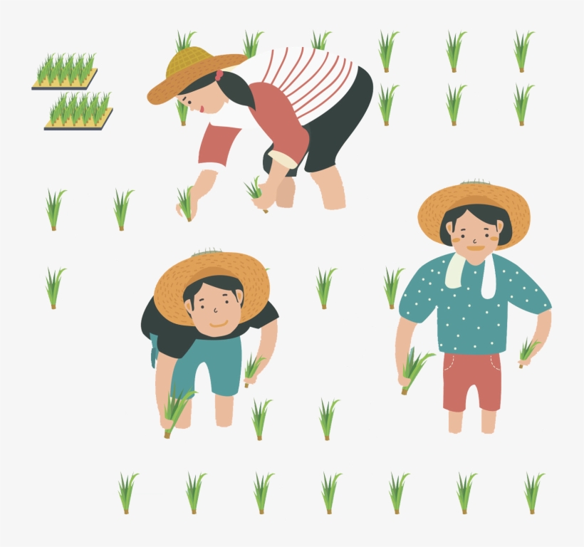 Cartoon Farmer Png Picture - Agriculture - Free Transparent PNG Download - PNGkey Cartoon Farmer Png Picture - Agriculture - Free Transparent PNG Download - PNGkey