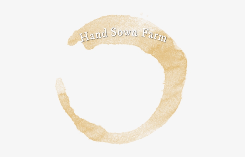 Paper, transparent png #751690