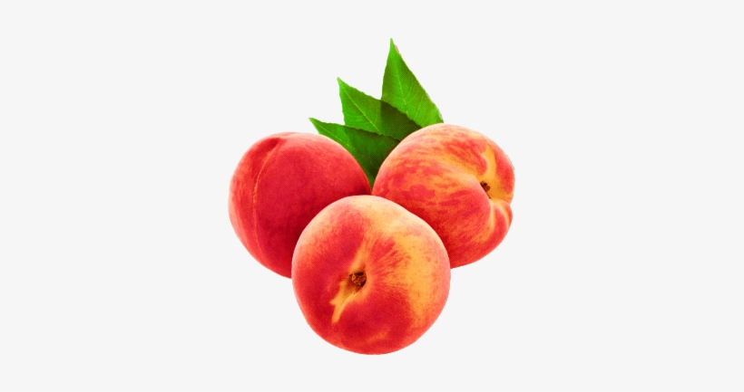 Transparent Aesthetic Humour *source - Png Aesthetic, transparent png #751889