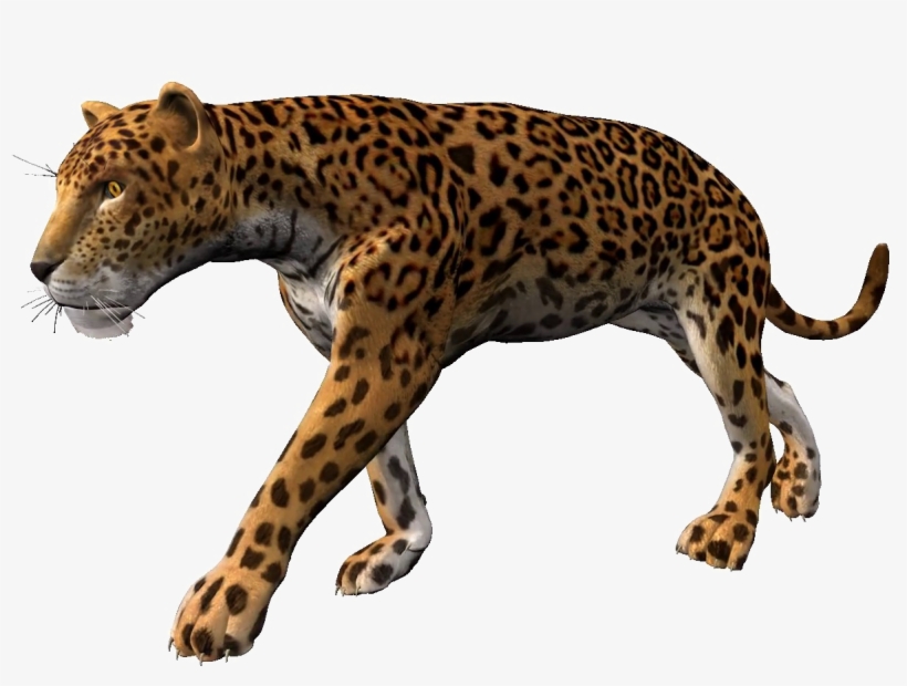 Walking Leopard Png Pic - Elephant Alpha Channel, transparent png #751911