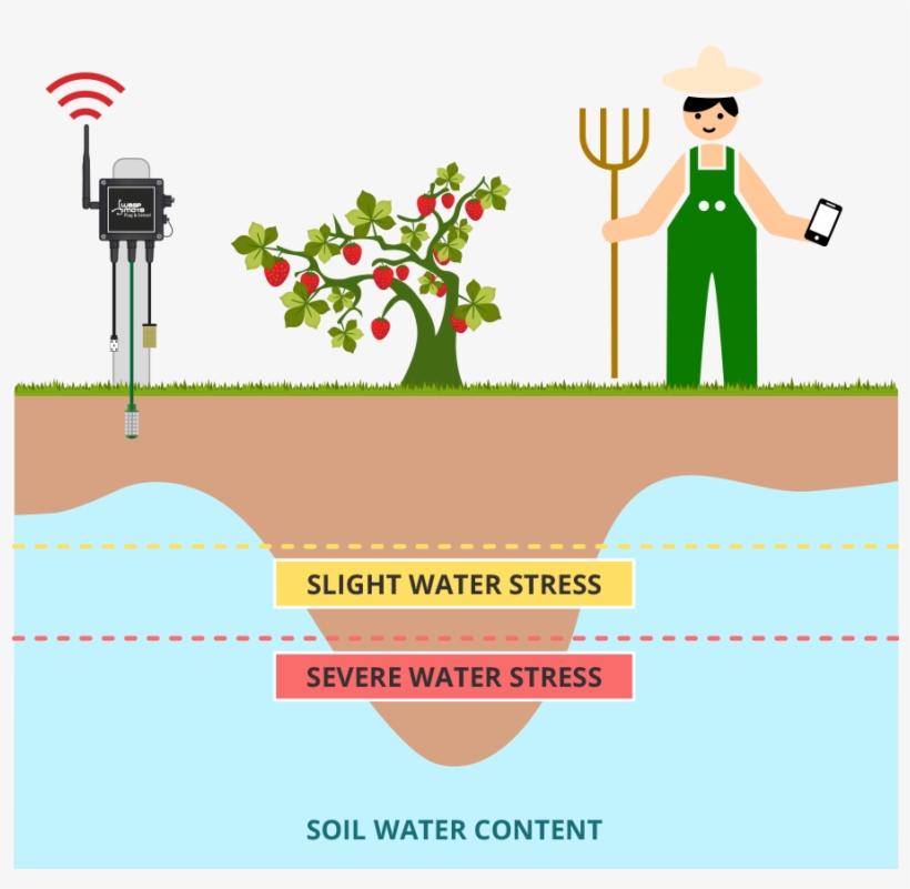 Waspmote Plug & Sense Smart Agriculture Schema - Crop Water Management Iot, transparent png #752633