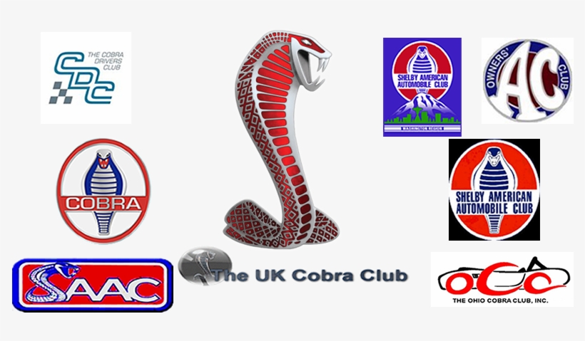 Untied States Cobra Clubs - Shelby Mustang, transparent png #754563