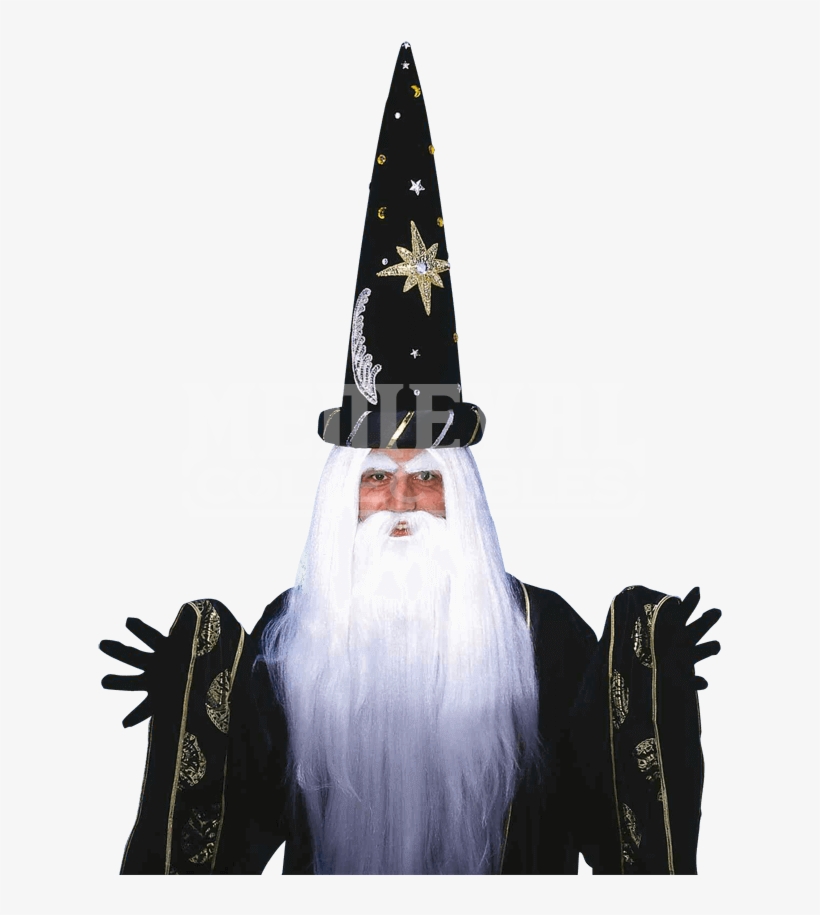 Wizard Beard Png - Forum Novelties Merlin Wig And Beard Wigs Adult Costume, transparent png #754810