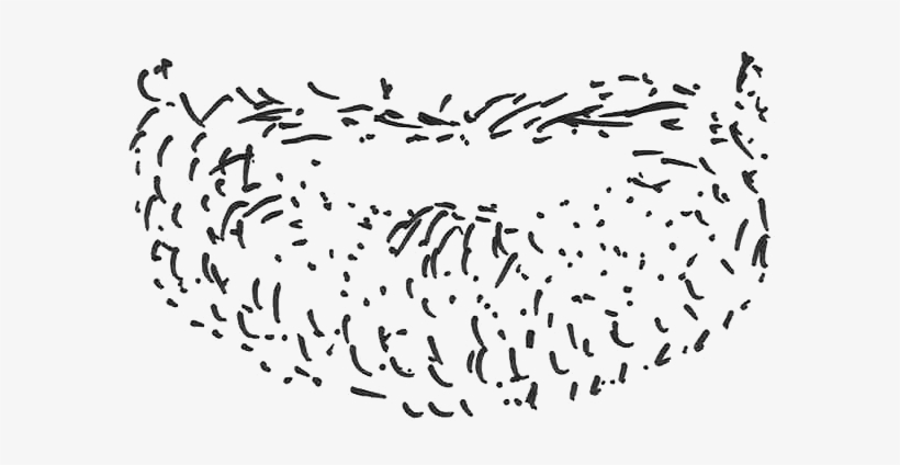 Stubble Beard Png - Beard Stubble Png, transparent png #754923