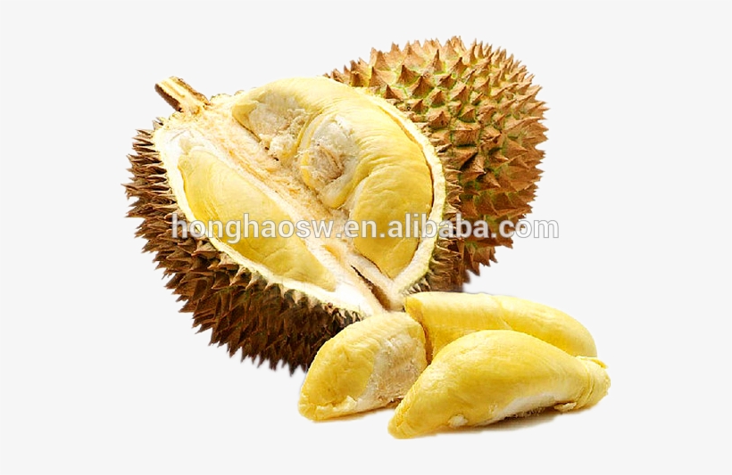 1 - Durian Fruit, transparent png #754991