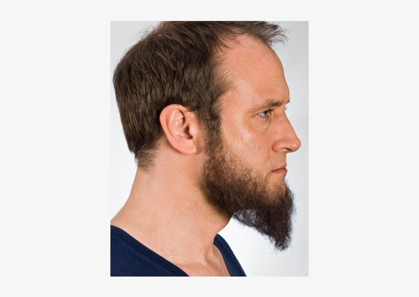 Beard, transparent png #755032