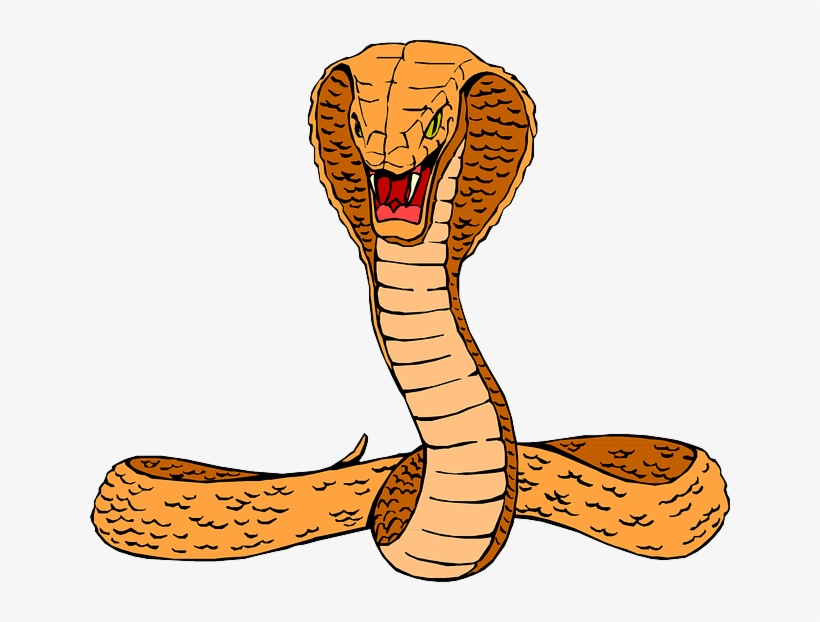 Orange Cobra Clip Art At Clker - Clipart Cobra, transparent png #755111
