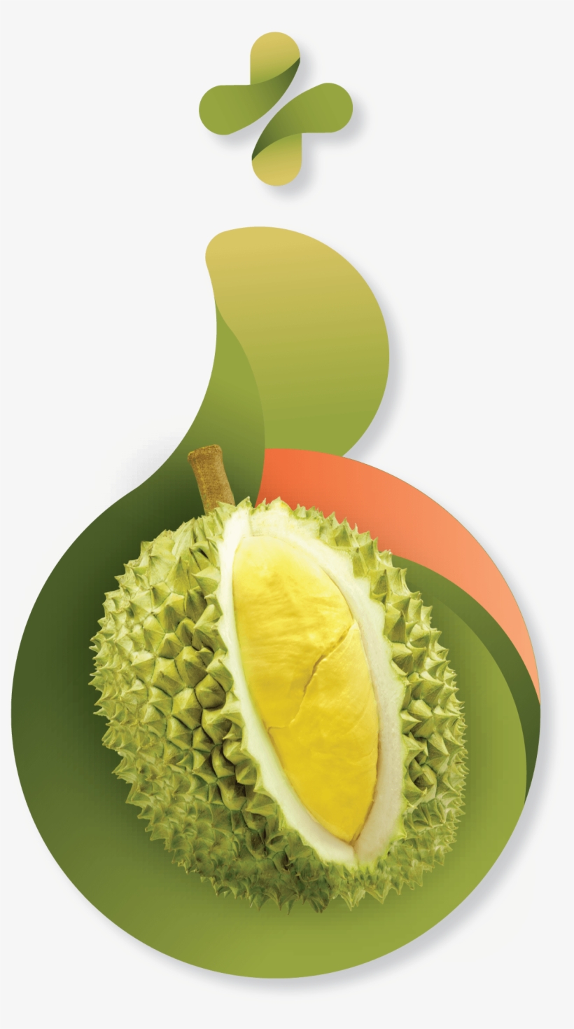 Durian Benefits - Durian, transparent png #755727