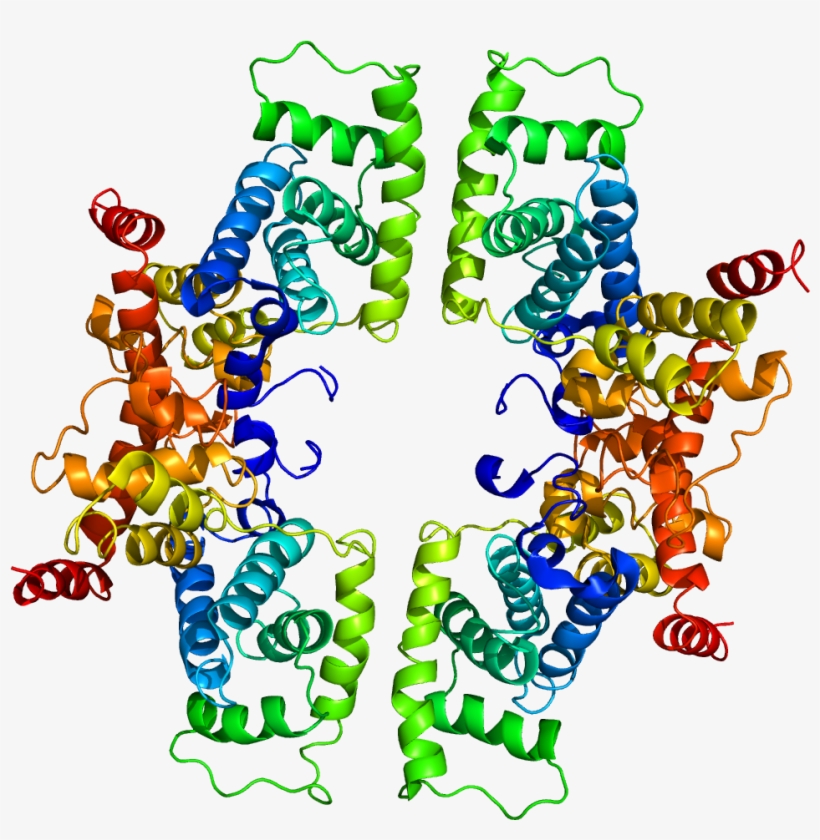 Protein Ccnt1 Pdb 2pk2 - Cyclin T1, transparent png #755807