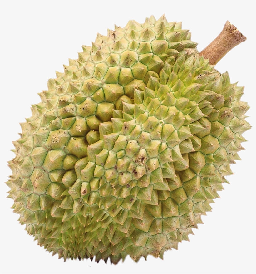 Durian, transparent png #756123