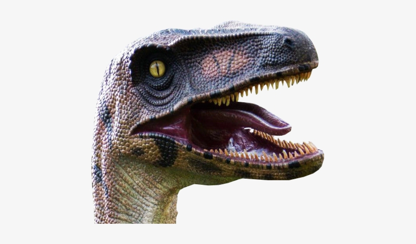 Background Designs, Background Images, Website Images, - Dino Head No Background, transparent png #756377