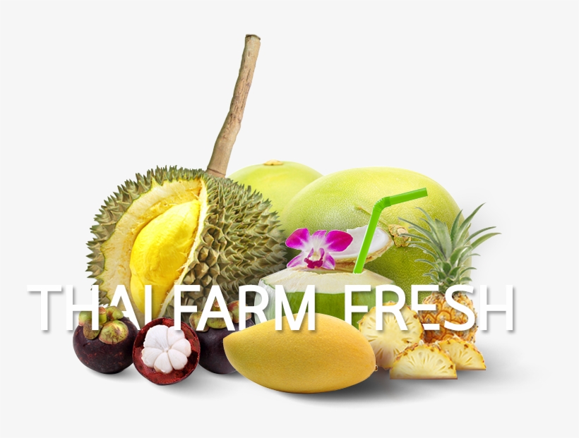 High Quality - Job, transparent png #756974