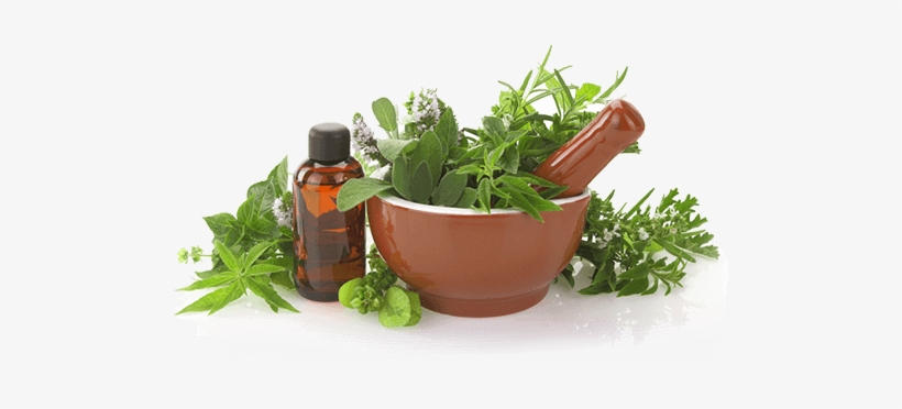 When Nature And Science Meet - Essential Oils Quick Reference Guide For Over 100 Common, transparent png #757938