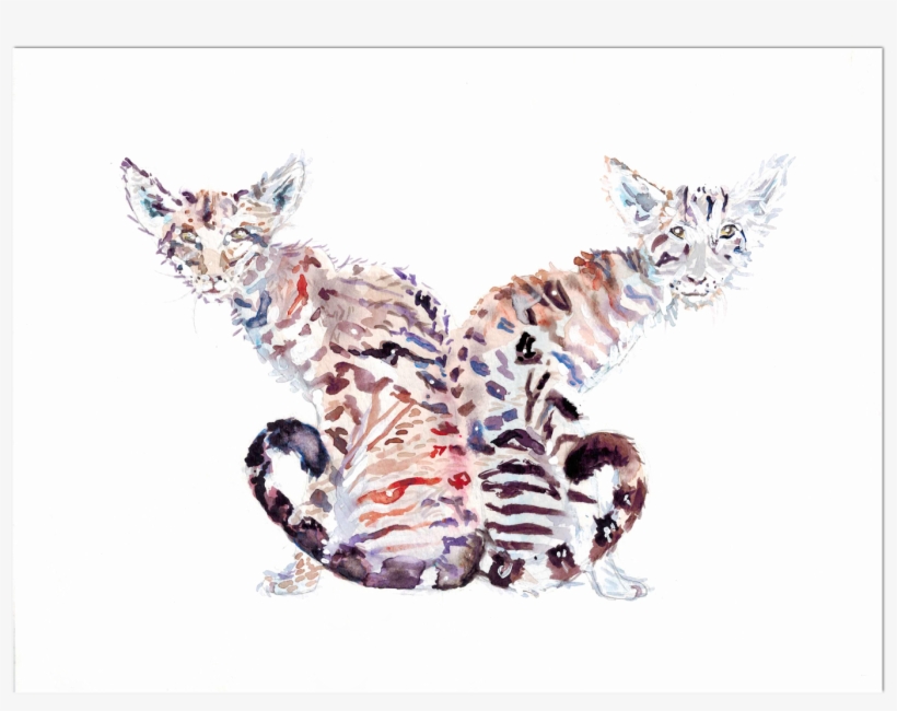 Watercolor Two Headed Cat - Sphynx, transparent png #757967