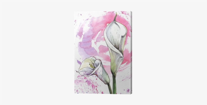 Flower Calla Watercolor Illustration Canvas Print • - Watercolor Painting, transparent png #758118