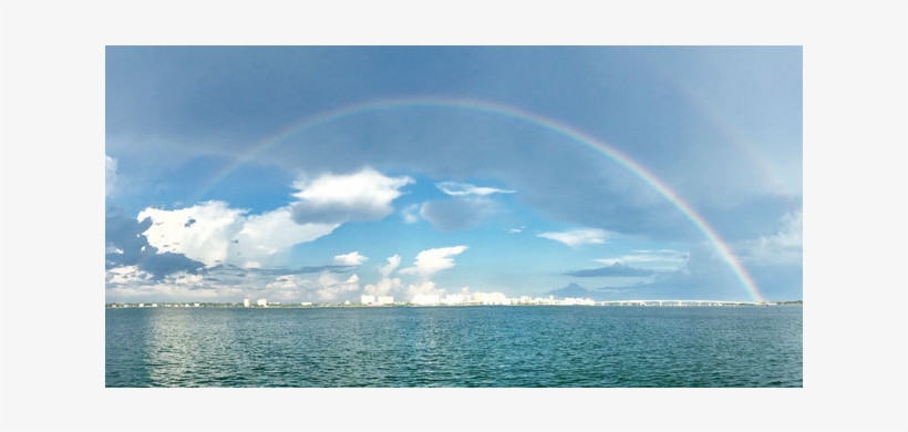 Florida And Sarasota Are Amazing - Florida, transparent png #758175